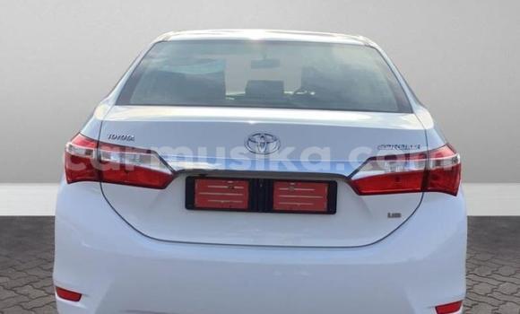 Acheter Occasion Voiture Toyota Corolla Blanc à Beitbridge, Matabeleland South Acheter Occasion Voiture Toyota Corolla Blanc à Beitbridge, Matabeleland South