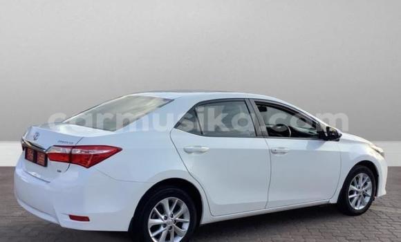 Acheter Occasion Voiture Toyota Corolla Blanc à Beitbridge, Matabeleland South Acheter Occasion Voiture Toyota Corolla Blanc à Beitbridge, Matabeleland South