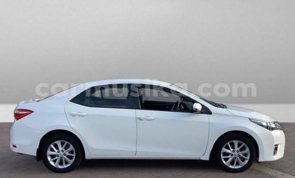 Acheter Occasion Voiture Toyota Corolla Blanc à Beitbridge, Matabeleland South Acheter Occasion Voiture Toyota Corolla Blanc à Beitbridge, Matabeleland South