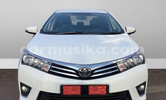 Acheter Occasion Voiture Toyota Corolla Blanc à Beitbridge, Matabeleland South Acheter Occasion Voiture Toyota Corolla Blanc à Beitbridge, Matabeleland South