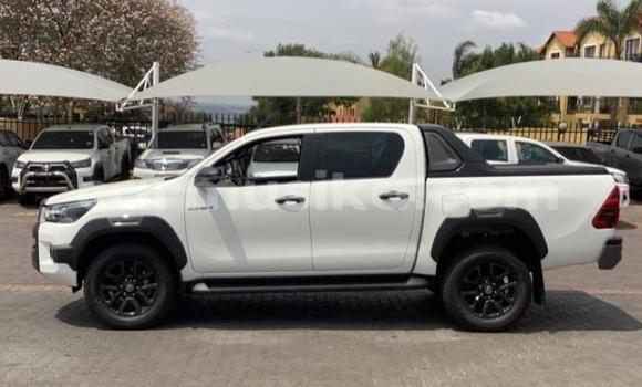 Acheter Occasion Voiture Toyota Hilux Blanc à Beitbridge, Matabeleland South