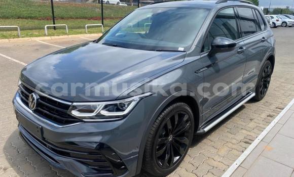 Tenga Tsaru Volkswagen Tiguan Bhurawuni Mota in Beitbridge in Matabeleland South