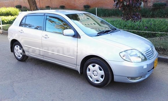 Tenga Tsaru Toyota Allex Chena Mota in Alexandra Park in Harare Tenga Tsaru Toyota Allex Chena Mota in Alexandra Park in Harare