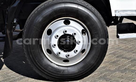 Nunua Ilio tumika Nissan UD Nyeupe Lori ndani ya Beitbridge nchini Matabeleland Kusini Nunua Ilio tumika Nissan UD Nyeupe Lori ndani ya Beitbridge nchini Matabeleland Kusini