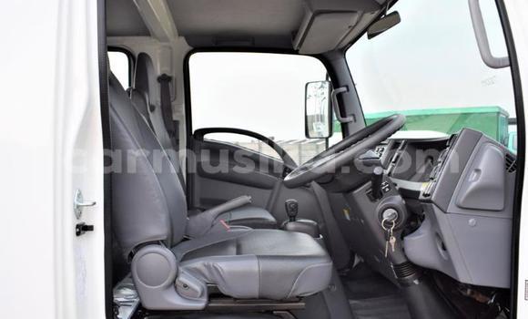 Nunua Ilio tumika Isuzu Elf Nyeupe Lori ndani ya Beitbridge nchini Matabeleland Kusini Nunua Ilio tumika Isuzu Elf Nyeupe Lori ndani ya Beitbridge nchini Matabeleland Kusini