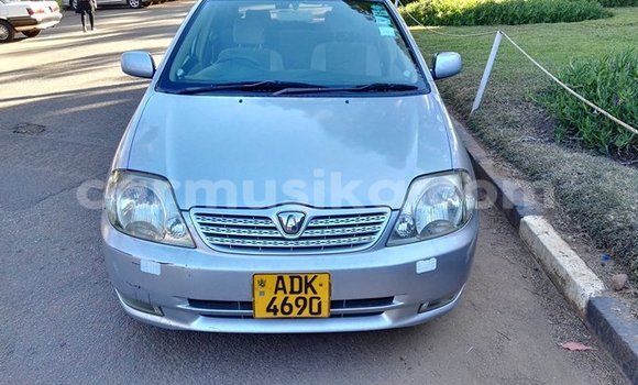 Tenga Tsaru Toyota Allex Chena Mota in Alexandra Park in Harare Tenga Tsaru Toyota Allex Chena Mota in Alexandra Park in Harare