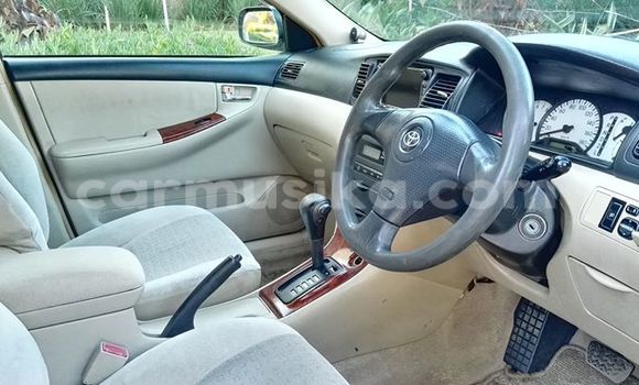 Tenga Tsaru Toyota Allex Chena Mota in Alexandra Park in Harare Tenga Tsaru Toyota Allex Chena Mota in Alexandra Park in Harare