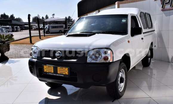Tenga Tsaru Nissan NP 300 Chena Mota in Beitbridge in Matabeleland South Tenga Tsaru Nissan NP 300 Chena Mota in Beitbridge in Matabeleland South