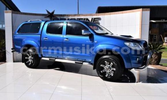 Buy Used Toyota Hilux Blue Car in Beitbridge in Matabeleland South Buy Used Toyota Hilux Blue Car in Beitbridge in Matabeleland South