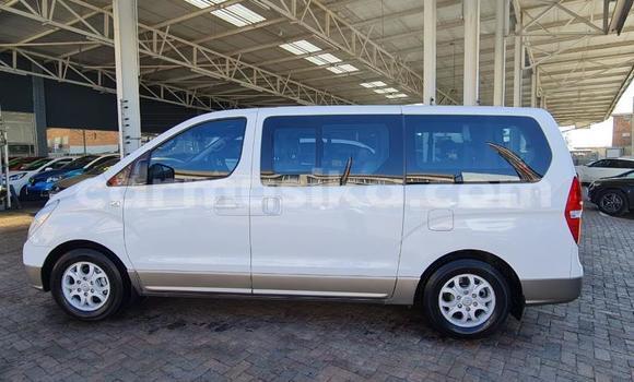 Buy Used Hyundai H1 White Car in Beitbridge in Matabeleland South Buy Used Hyundai H1 White Car in Beitbridge in Matabeleland South