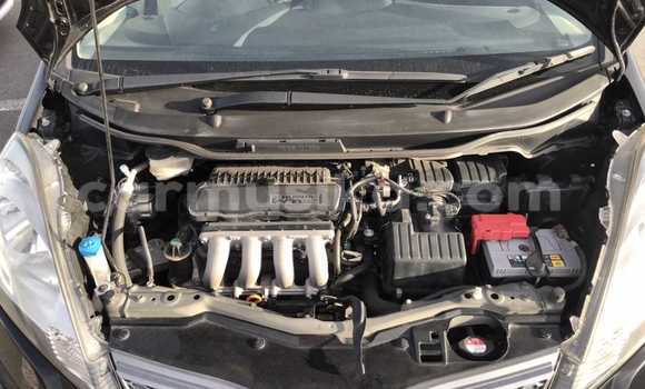 Buy Used Honda Fit Black Car in Beitbridge in Matabeleland South Buy Used Honda Fit Black Car in Beitbridge in Matabeleland South