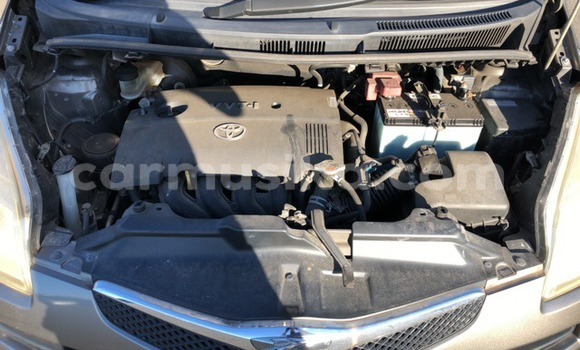 Buy Used Toyota Ractis Other Car in Beitbridge in Matabeleland South Buy Used Toyota Ractis Other Car in Beitbridge in Matabeleland South