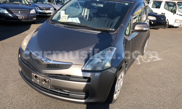 Buy Used Toyota Ractis Other Car in Beitbridge in Matabeleland South Buy Used Toyota Ractis Other Car in Beitbridge in Matabeleland South