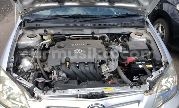 Nunua Ilio tumika Toyota Runx Fedha Gari ndani ya Beitbridge nchini Matabeleland Kusini Nunua Ilio tumika Toyota Runx Fedha Gari ndani ya Beitbridge nchini Matabeleland Kusini