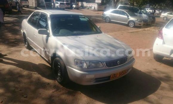 Nunua Ilio tumika Toyota Corolla Fedha Gari ndani ya Alexandra Park nchini Harare Nunua Ilio tumika Toyota Corolla Fedha Gari ndani ya Alexandra Park nchini Harare