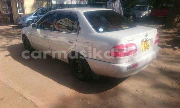 Nunua Ilio tumika Toyota Corolla Fedha Gari ndani ya Alexandra Park nchini Harare Nunua Ilio tumika Toyota Corolla Fedha Gari ndani ya Alexandra Park nchini Harare