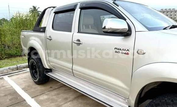 Acheter Import Voiture Toyota Hiluxe VIGO Gris à Harare, Harare Acheter Import Voiture Toyota Hiluxe VIGO Gris à Harare, Harare
