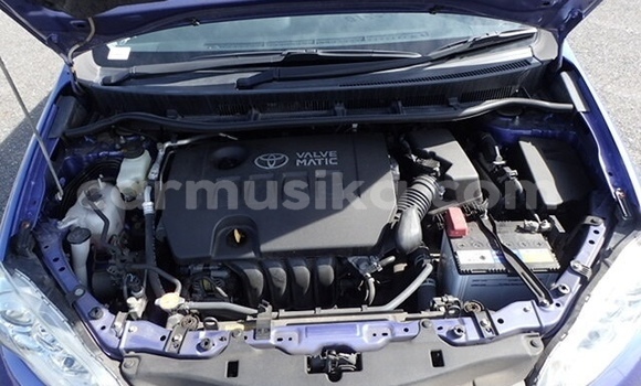 Tenga Tsaru Toyota Wish Bhuruu Mota in Beitbridge in Matabeleland South Tenga Tsaru Toyota Wish Bhuruu Mota in Beitbridge in Matabeleland South