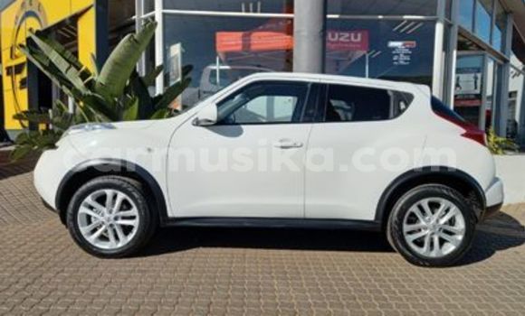 Tenga Tsaru Nissan Juke Chena Mota in Beitbridge in Matabeleland South Tenga Tsaru Nissan Juke Chena Mota in Beitbridge in Matabeleland South