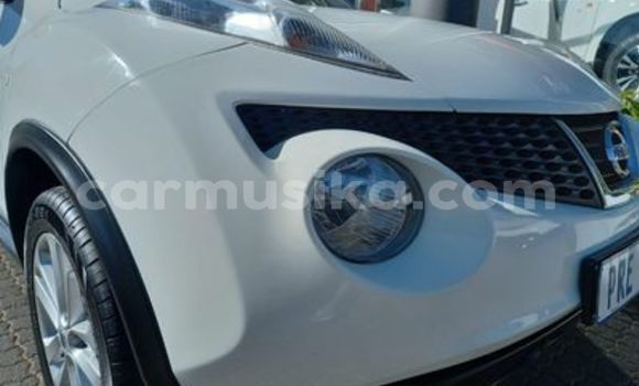 Tenga Tsaru Nissan Juke Chena Mota in Beitbridge in Matabeleland South Tenga Tsaru Nissan Juke Chena Mota in Beitbridge in Matabeleland South