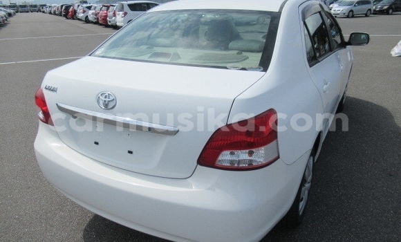 Buy Used Toyota Belta White Car in Beitbridge in Matabeleland South Buy Used Toyota Belta White Car in Beitbridge in Matabeleland South