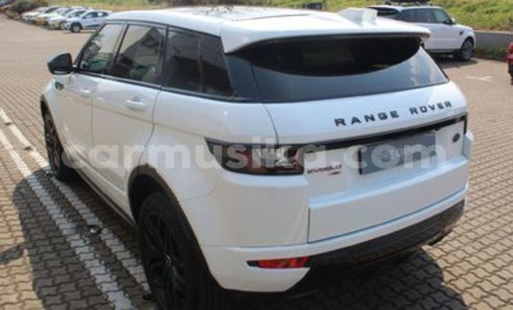 Buy Used Land Rover Range Rover Evoque White Car in Beitbridge in Matabeleland South Buy Used Land Rover Range Rover Evoque White Car in Beitbridge in Matabeleland South