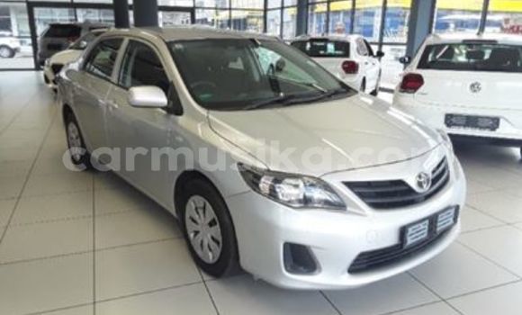 Buy Used Toyota Corolla Silver Car in Beitbridge in Matabeleland South Buy Used Toyota Corolla Silver Car in Beitbridge in Matabeleland South