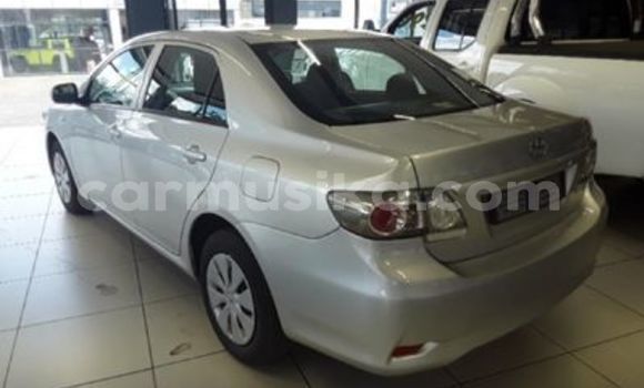 Buy Used Toyota Corolla Silver Car in Beitbridge in Matabeleland South Buy Used Toyota Corolla Silver Car in Beitbridge in Matabeleland South
