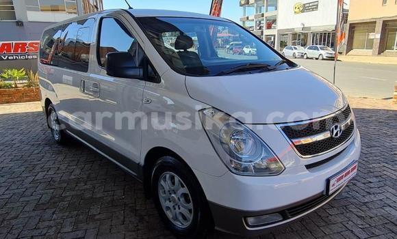 Buy Used Hyundai H1 White Car in Beitbridge in Matabeleland South Buy Used Hyundai H1 White Car in Beitbridge in Matabeleland South