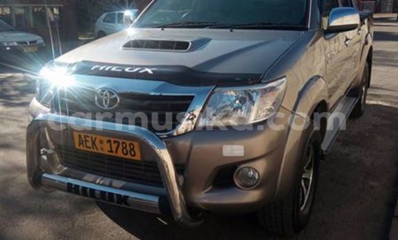 Buy Used Toyota Hilux Other Car in Alexandra Park in Harare Buy Used Toyota Hilux Other Car in Alexandra Park in Harare