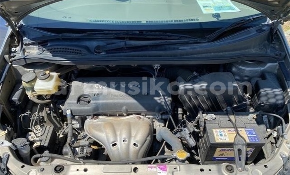 Acheter Occasion Voiture Toyota Ipsum Gris à Beitbridge, Matabeleland South Acheter Occasion Voiture Toyota Ipsum Gris à Beitbridge, Matabeleland South