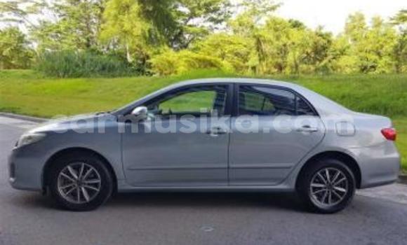 Acheter Occasion Voiture Toyota Corolla Altis Gris à Beitbridge, Matabeleland South Acheter Occasion Voiture Toyota Corolla Altis Gris à Beitbridge, Matabeleland South