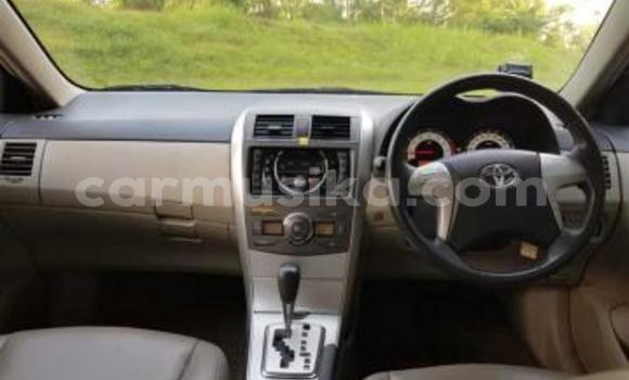 Acheter Occasion Voiture Toyota Corolla Altis Gris à Beitbridge, Matabeleland South Acheter Occasion Voiture Toyota Corolla Altis Gris à Beitbridge, Matabeleland South