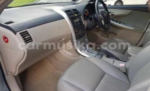 Acheter Occasion Voiture Toyota Corolla Altis Gris à Beitbridge, Matabeleland South Acheter Occasion Voiture Toyota Corolla Altis Gris à Beitbridge, Matabeleland South