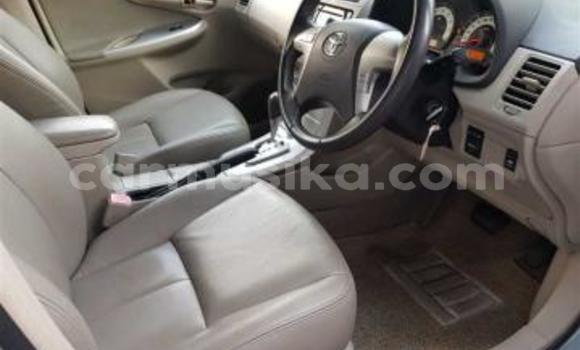 Acheter Occasion Voiture Toyota Corolla Altis Gris à Beitbridge, Matabeleland South Acheter Occasion Voiture Toyota Corolla Altis Gris à Beitbridge, Matabeleland South