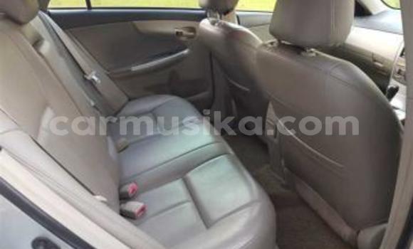 Acheter Occasion Voiture Toyota Corolla Altis Gris à Beitbridge, Matabeleland South Acheter Occasion Voiture Toyota Corolla Altis Gris à Beitbridge, Matabeleland South