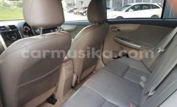 Acheter Occasion Voiture Toyota Corolla Altis Gris à Beitbridge, Matabeleland South Acheter Occasion Voiture Toyota Corolla Altis Gris à Beitbridge, Matabeleland South