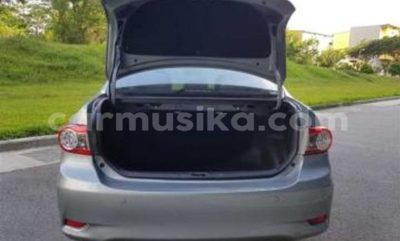 Acheter Occasion Voiture Toyota Corolla Altis Gris à Beitbridge, Matabeleland South Acheter Occasion Voiture Toyota Corolla Altis Gris à Beitbridge, Matabeleland South