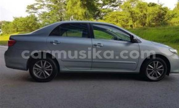 Acheter Occasion Voiture Toyota Corolla Altis Gris à Beitbridge, Matabeleland South Acheter Occasion Voiture Toyota Corolla Altis Gris à Beitbridge, Matabeleland South