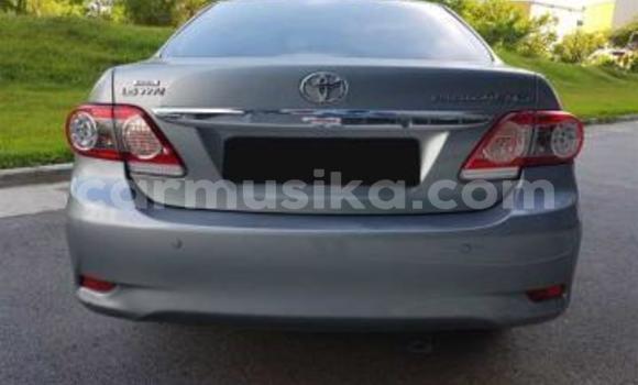 Acheter Occasion Voiture Toyota Corolla Altis Gris à Beitbridge, Matabeleland South Acheter Occasion Voiture Toyota Corolla Altis Gris à Beitbridge, Matabeleland South