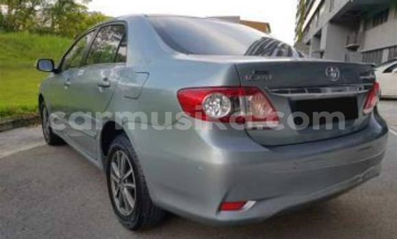 Acheter Occasion Voiture Toyota Corolla Altis Gris à Beitbridge, Matabeleland South Acheter Occasion Voiture Toyota Corolla Altis Gris à Beitbridge, Matabeleland South