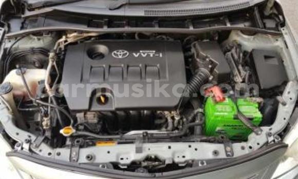 Acheter Occasion Voiture Toyota Corolla Altis Gris à Beitbridge, Matabeleland South Acheter Occasion Voiture Toyota Corolla Altis Gris à Beitbridge, Matabeleland South