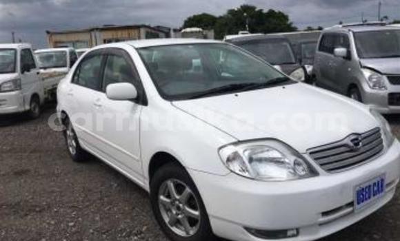 Nunua Ilio tumika Toyota Corolla Nyeupe Gari ndani ya Beitbridge nchini Matabeleland Kusini Nunua Ilio tumika Toyota Corolla Nyeupe Gari ndani ya Beitbridge nchini Matabeleland Kusini