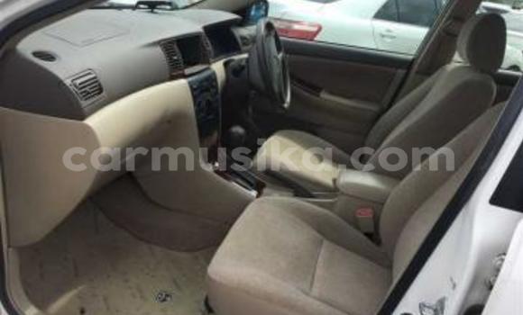 Nunua Ilio tumika Toyota Corolla Nyeupe Gari ndani ya Beitbridge nchini Matabeleland Kusini Nunua Ilio tumika Toyota Corolla Nyeupe Gari ndani ya Beitbridge nchini Matabeleland Kusini