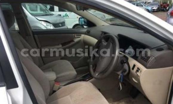 Nunua Ilio tumika Toyota Corolla Nyeupe Gari ndani ya Beitbridge nchini Matabeleland Kusini Nunua Ilio tumika Toyota Corolla Nyeupe Gari ndani ya Beitbridge nchini Matabeleland Kusini