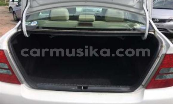 Nunua Ilio tumika Toyota Corolla Nyeupe Gari ndani ya Beitbridge nchini Matabeleland Kusini Nunua Ilio tumika Toyota Corolla Nyeupe Gari ndani ya Beitbridge nchini Matabeleland Kusini