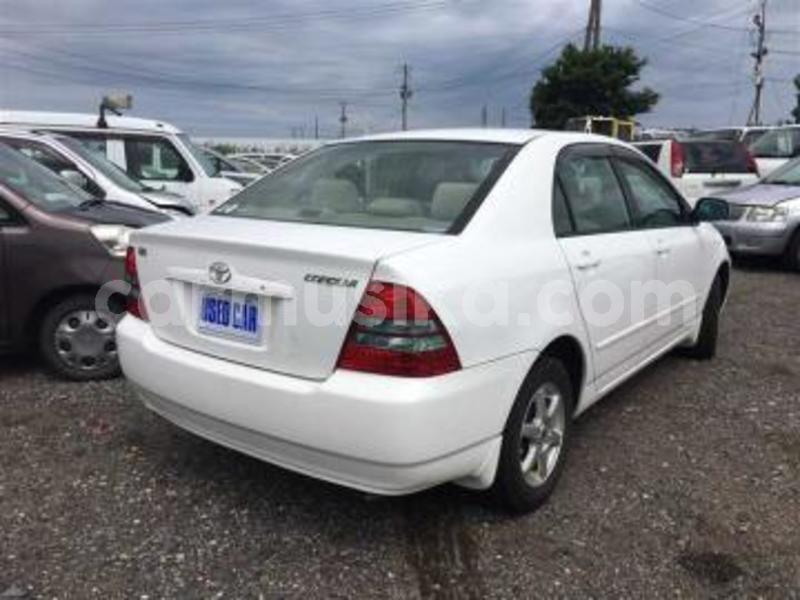 Big with watermark toyota corolla matabeleland south beitbridge 25381