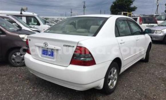 Nunua Ilio tumika Toyota Corolla Nyeupe Gari ndani ya Beitbridge nchini Matabeleland Kusini Nunua Ilio tumika Toyota Corolla Nyeupe Gari ndani ya Beitbridge nchini Matabeleland Kusini