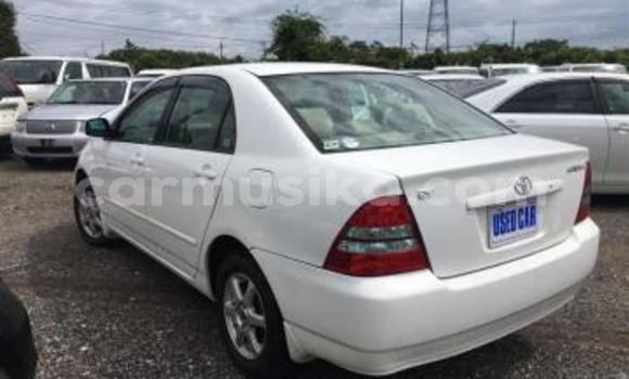 Nunua Ilio tumika Toyota Corolla Nyeupe Gari ndani ya Beitbridge nchini Matabeleland Kusini Nunua Ilio tumika Toyota Corolla Nyeupe Gari ndani ya Beitbridge nchini Matabeleland Kusini