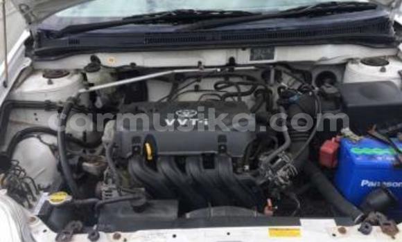 Nunua Ilio tumika Toyota Corolla Nyeupe Gari ndani ya Beitbridge nchini Matabeleland Kusini Nunua Ilio tumika Toyota Corolla Nyeupe Gari ndani ya Beitbridge nchini Matabeleland Kusini